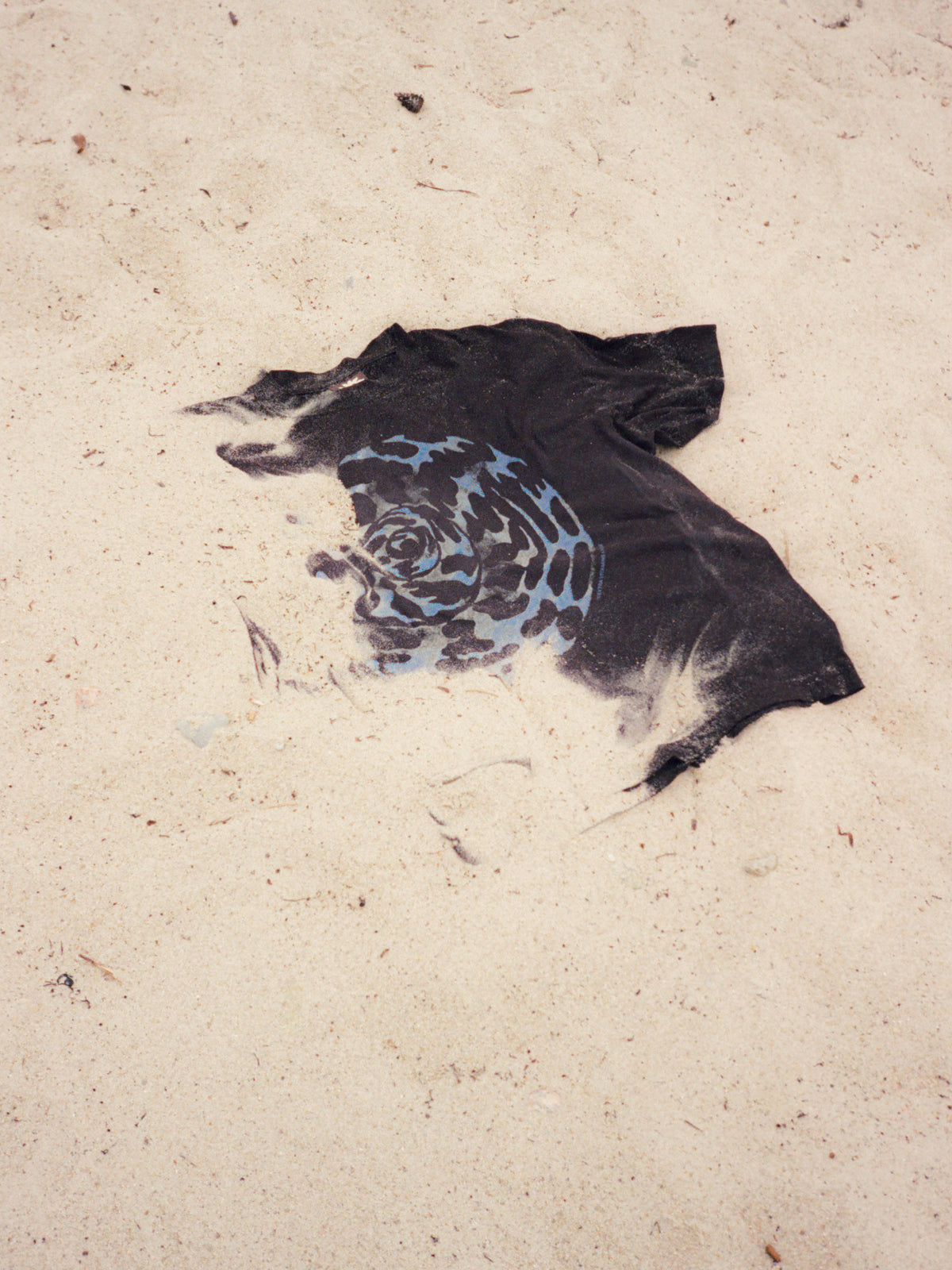 SPIRAL SHELL tee - slate