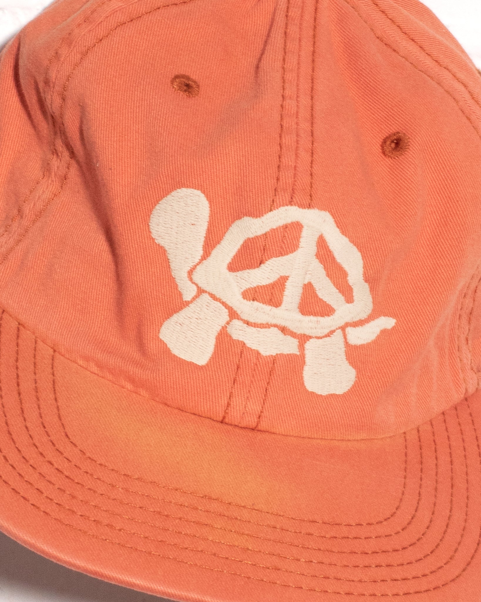 PEACE TURTLE hat