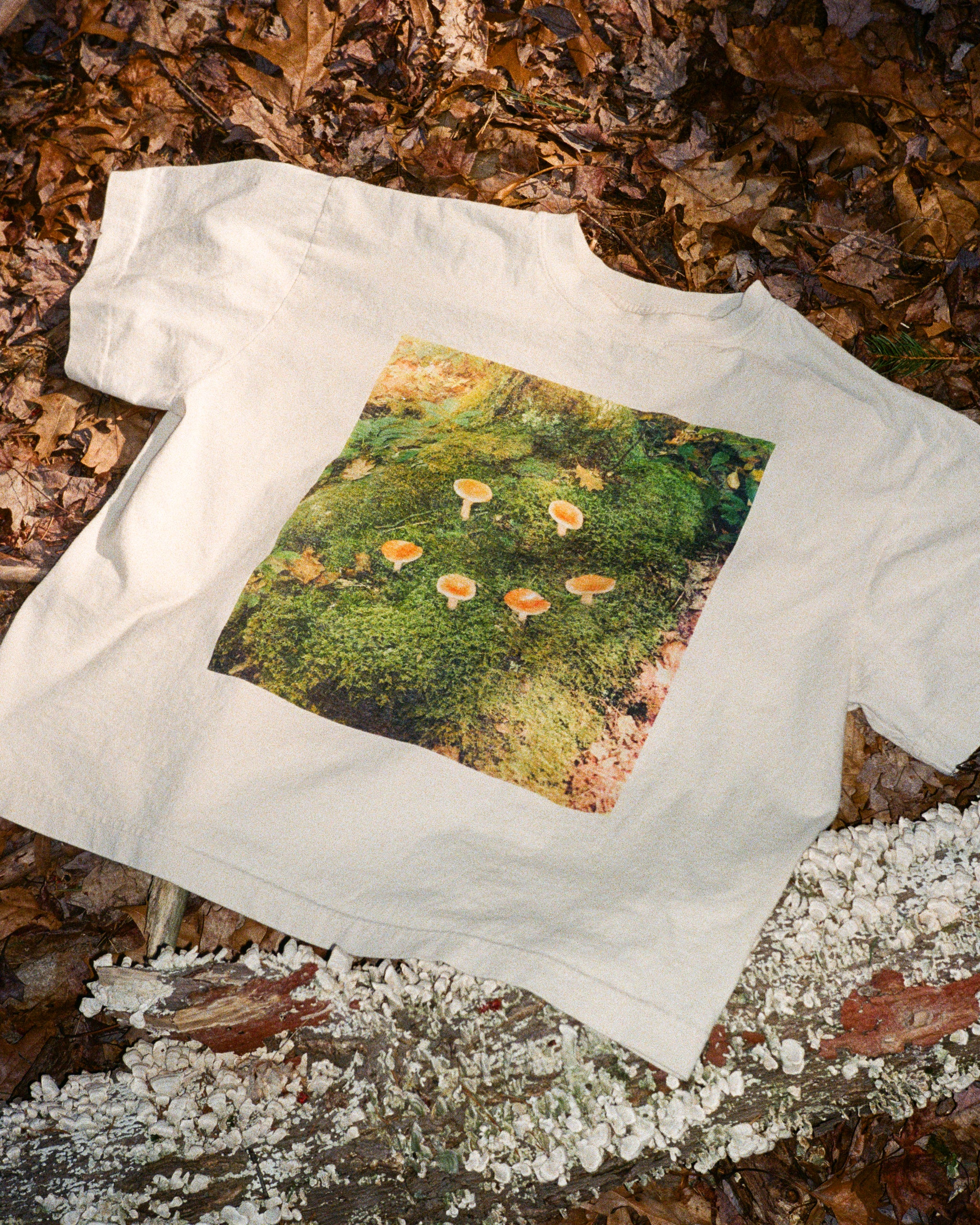 NATURE SMILES BACK tee - scour