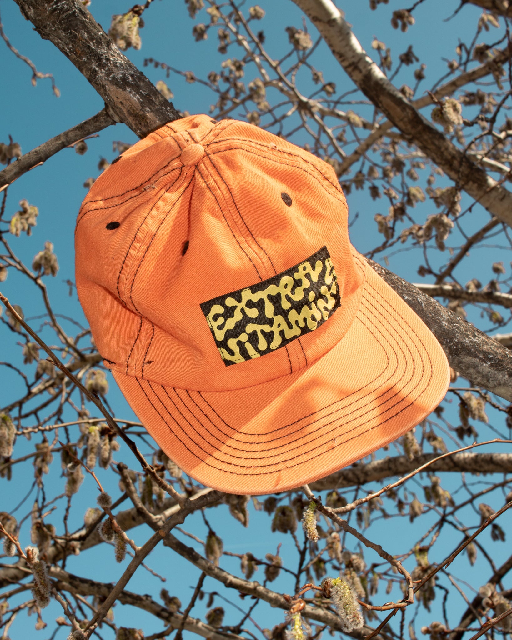FROG LOGO cap