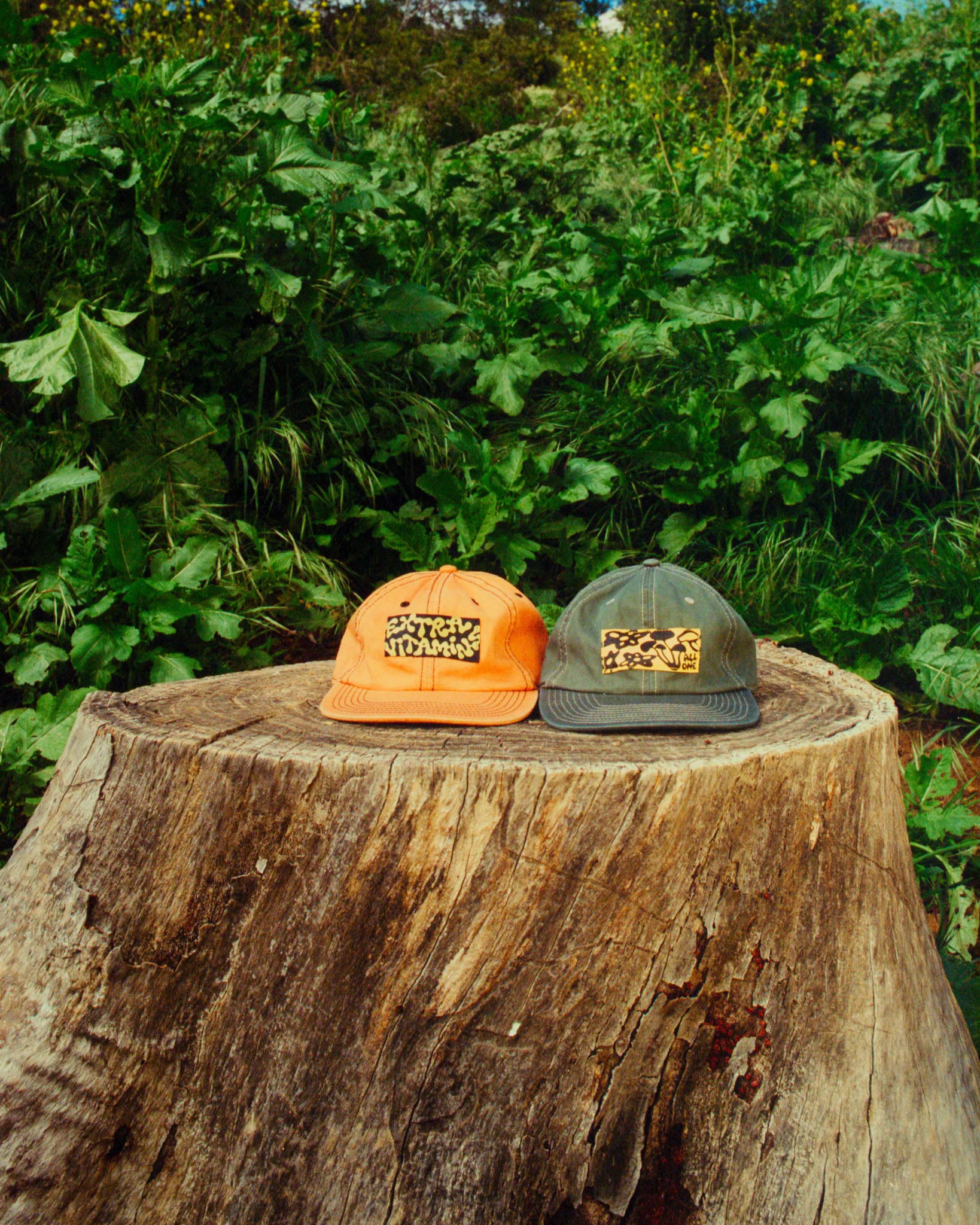 ALL ONE cap