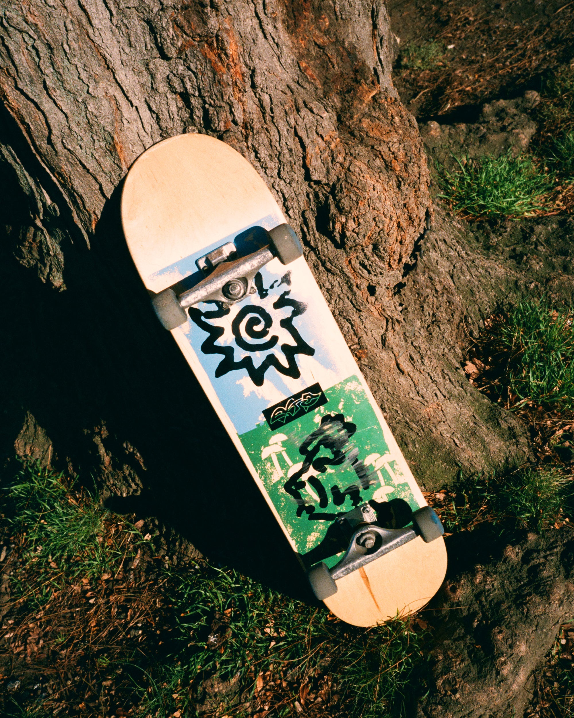 Sun Jumper Deck